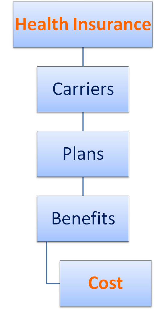 Health Insurance Diagram